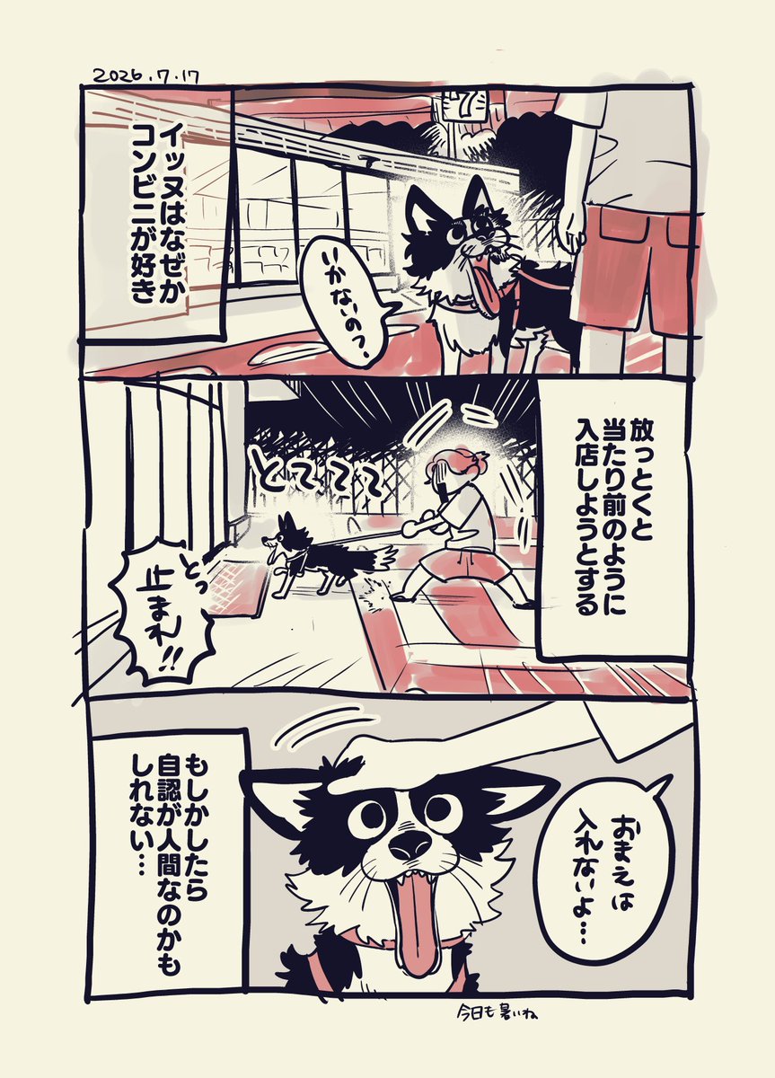 ち❤️体調不良で確認が遅くなってます。。様 リクエスト 3点 まとめ商品 ち❤️体調不良で確認が遅くなってます。。様 まとめ商品 リクエスト 3点