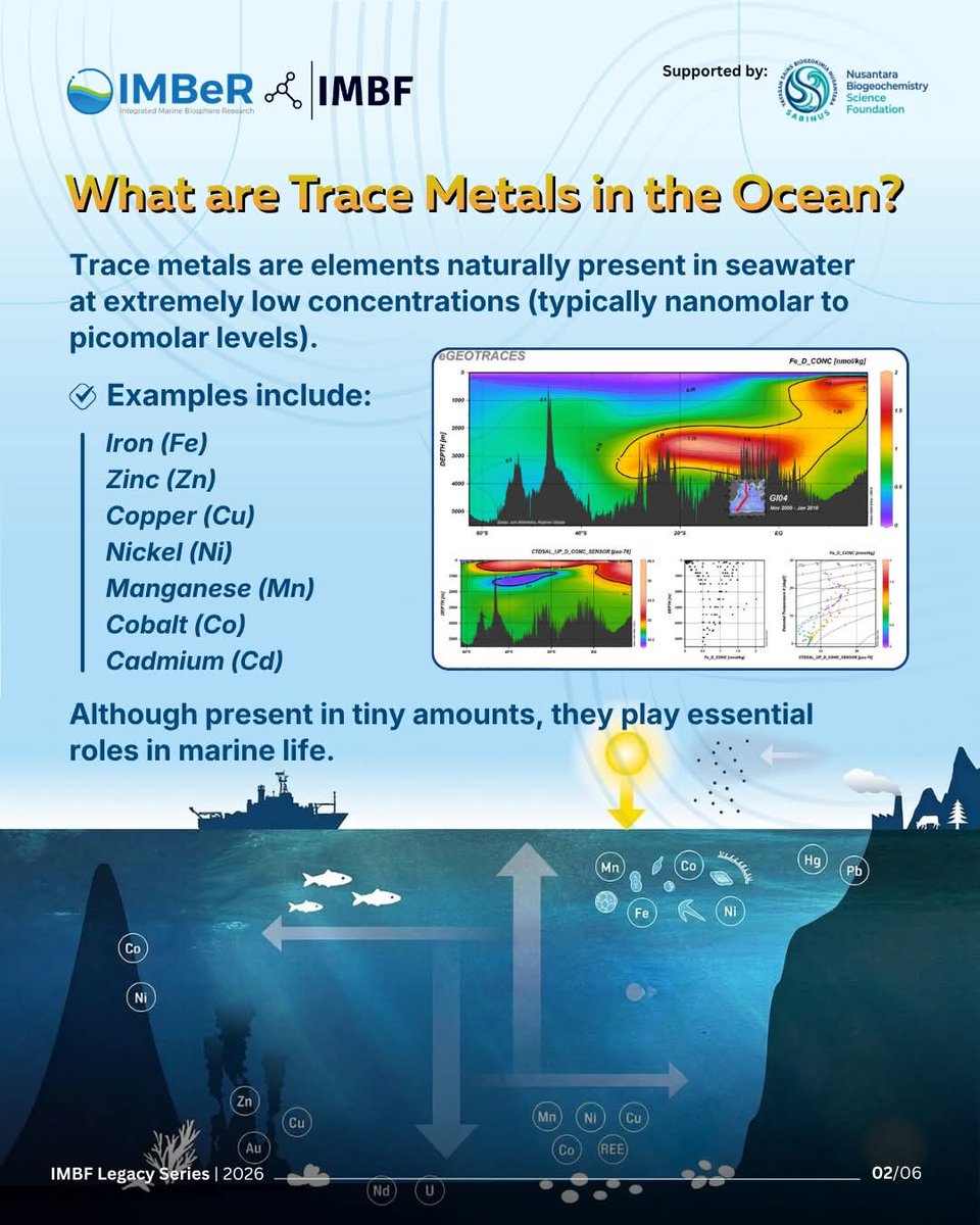 imbf2025's tweet photo. 💙 Trace metals remind us: even the smallest things can shape the future of our blue planet🌍
#IMBeR
#IMBF
#marineresearch
#MarineBiogeochemistry
#OceanLiteracy https://t.co/Mfp2eaqMAi