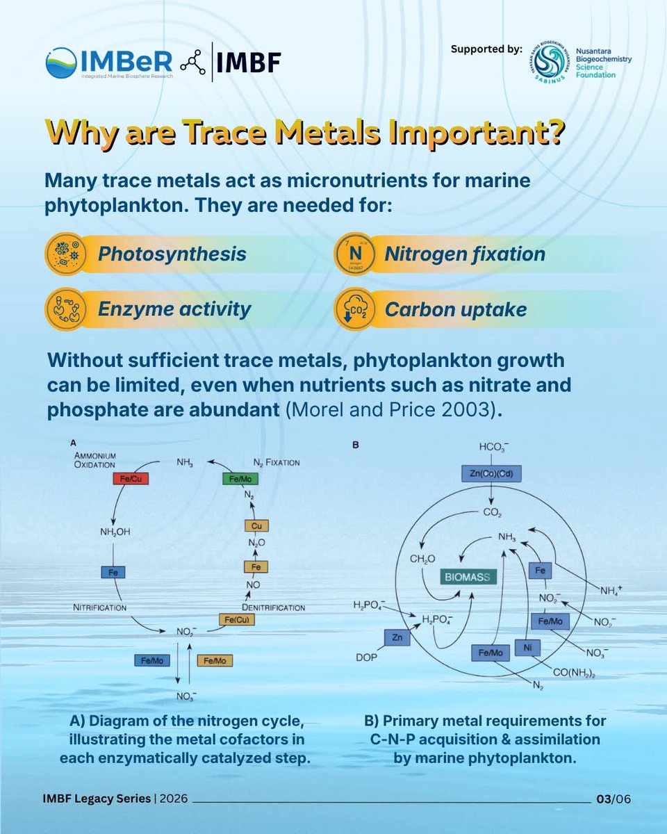 imbf2025's tweet photo. 💙 Trace metals remind us: even the smallest things can shape the future of our blue planet🌍
#IMBeR
#IMBF
#marineresearch
#MarineBiogeochemistry
#OceanLiteracy https://t.co/Mfp2eaqMAi