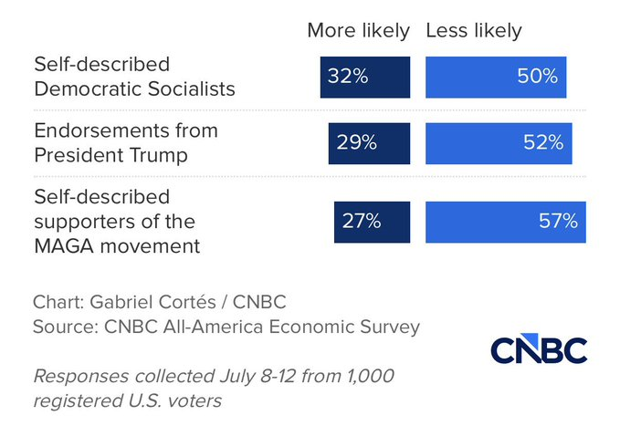 AaronBlake's tweet photo. 👀 A candidate being MAGA or Trump-endorsed is a turnoff for more voters than be a democratic socialist, per a @CNBC  poll. https://t.co/acDqCVv8wu