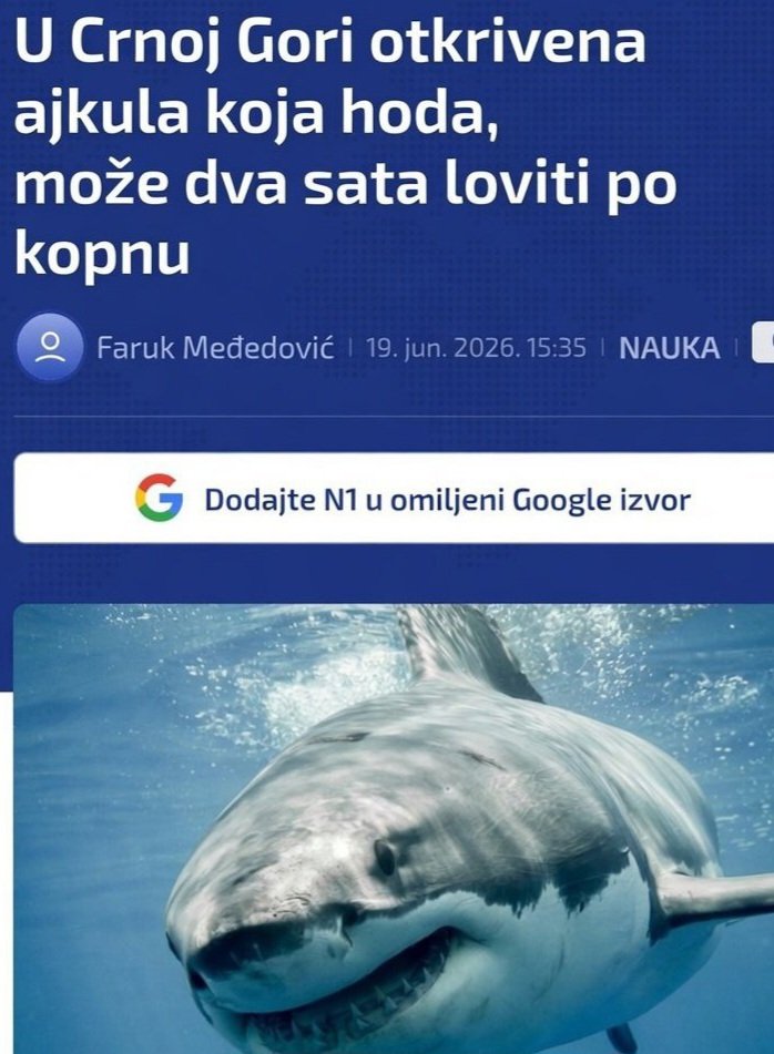 VukasinPerovic's tweet photo. Ajkula zvana Monte-ustaša.
Ma kome ste vi prijatelji, neprijatelji mu ne trebaju. https://t.co/8W9Yf3qbVB
