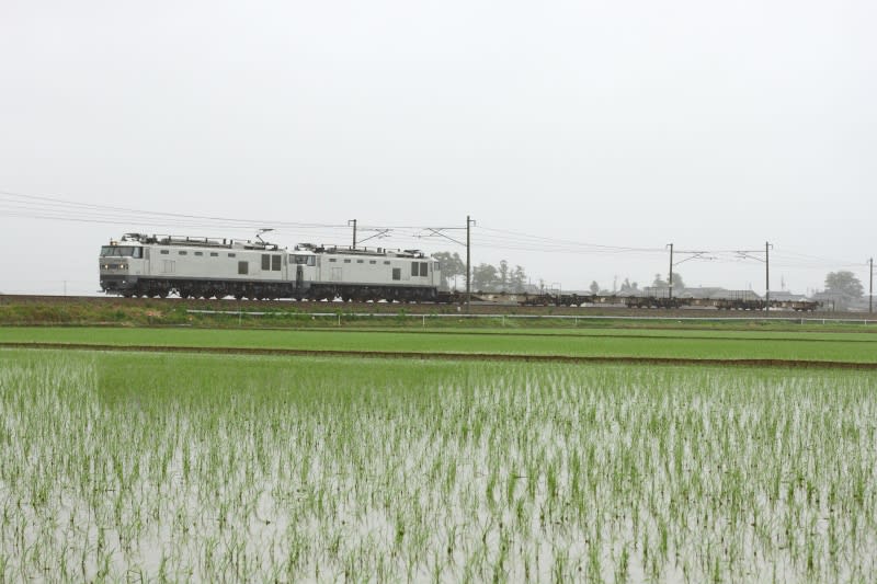 takayan489's tweet photo. #これよりレアな鉄道写真をあげたやつが優勝

結果これって、何回かあったのだろうか？ https://t.co/YH2QkLXM4j