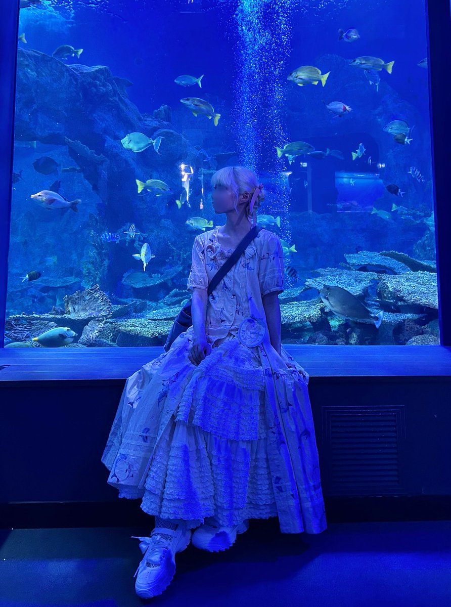 noaaaapi's tweet photo. 🦦🐬 https://t.co/zIFGZCugOj