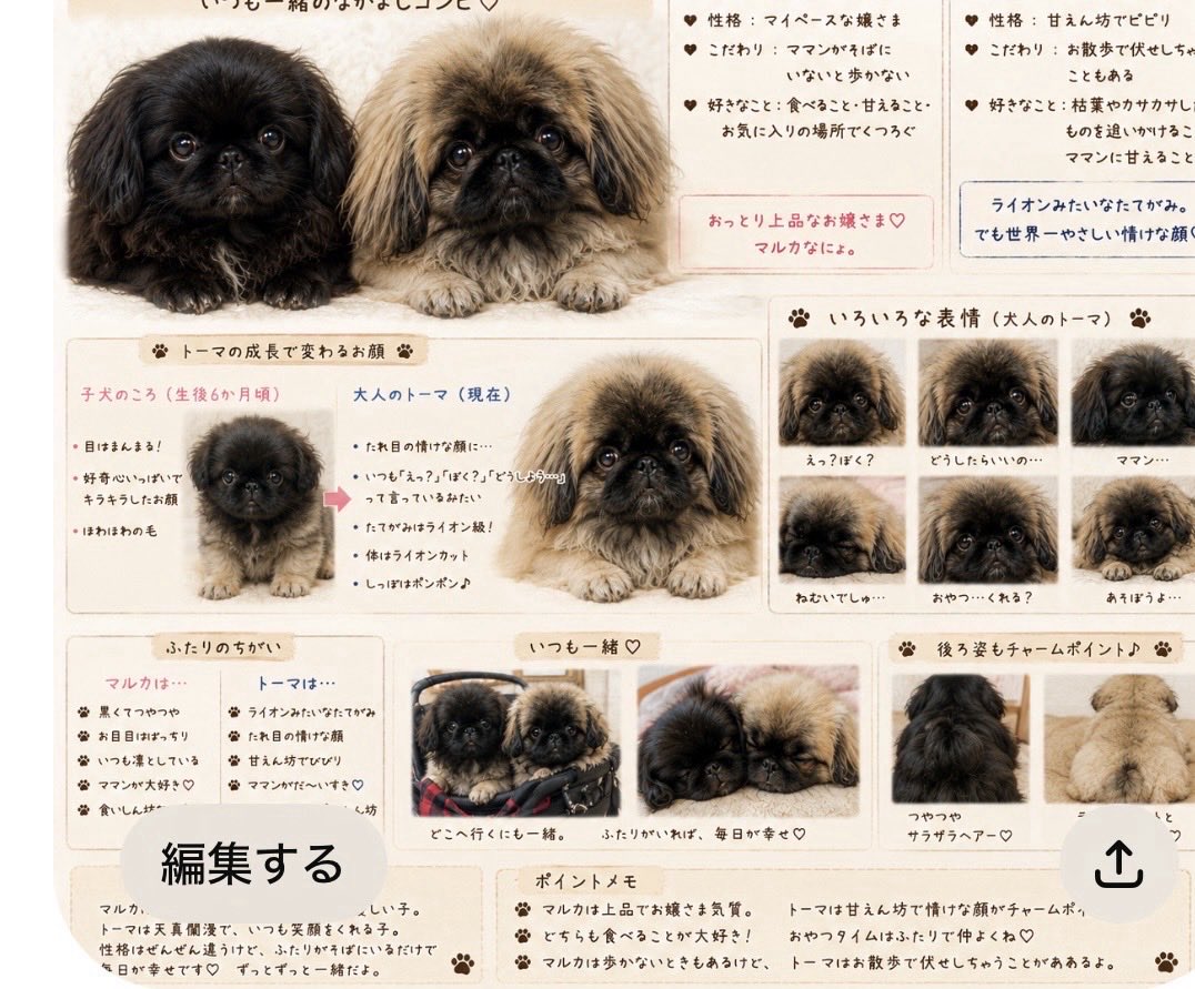 noel1880's tweet photo. 右はスタンプ用。左は絵本用マルカ＆トーマの事件簿です。ChatGPTが試行錯誤しなから作成してくれました #ペキニーズ https://t.co/lcrJeO5aLV