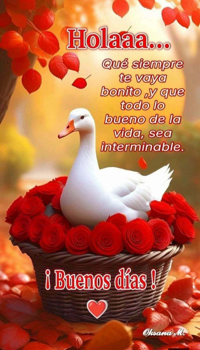 Valente Meraz Marquez tweet media