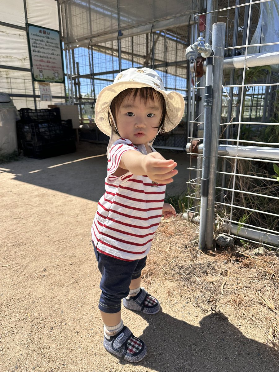 sayaka87rm's tweet photo. 3年前の今頃は陣痛中かぁ。
あっとゆう間の3年間でいろいろあったなぁ。
どんどん自分で出来ることも増えて日々成長を感じる。 https://t.co/eMSbRiuCcz