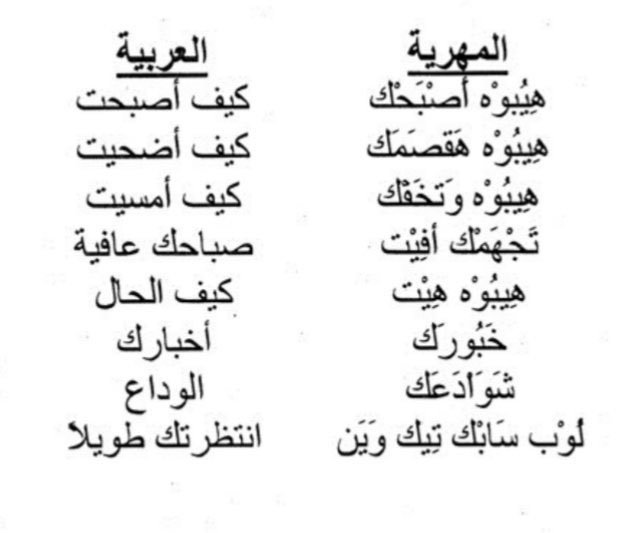 عمر النبهاني tweet media