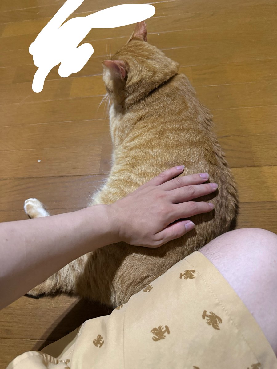yuucbr_330's tweet photo. かわいい生物 https://t.co/qmOicMARH0