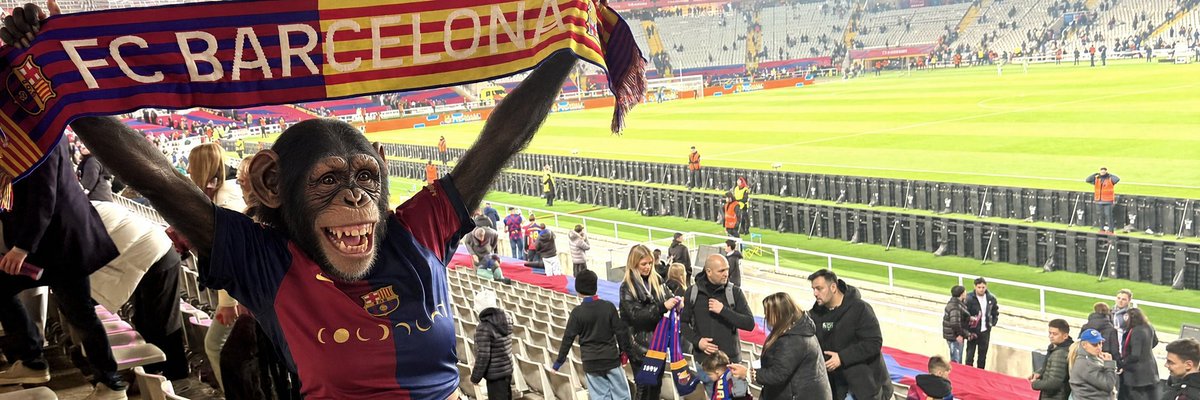 MoB_RMCF's tweet photo. @theberneese https://t.co/6SzO51oSFc