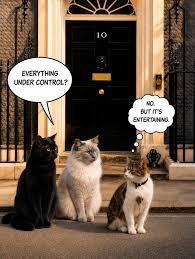smieci132's tweet photo. @Number10cat @andyburnham @BJennings90 @guardian https://t.co/M37bLteziM