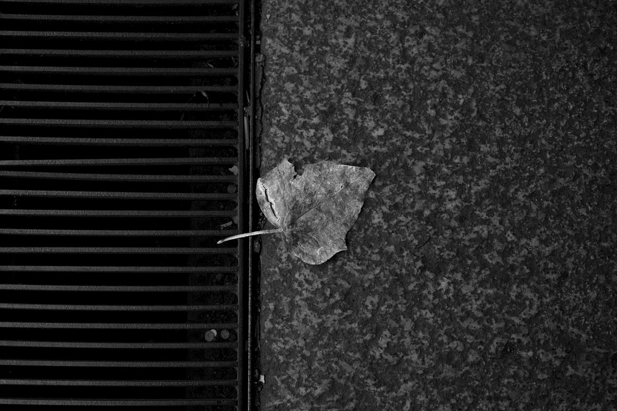 fratunaj's tweet photo. 📌 Milano, marzo 2026
Frammento fragile e superficie dura

📷 Sony α7 III - 50mm - f/4 - 1/125

#streetphotography_bw #bwphotography #milano #photography https://t.co/tnphiWmb2H