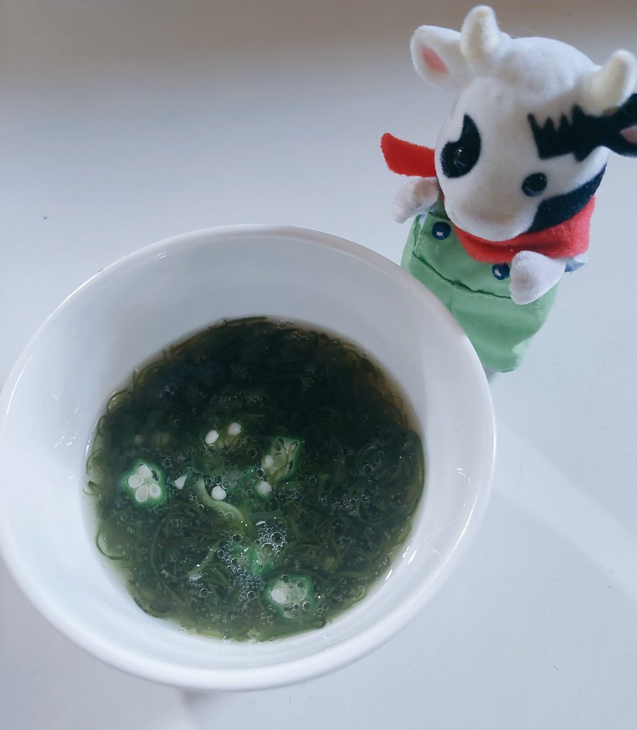 beconnurt's tweet photo. 大きくなるのが待てず収穫してしまいました…

🐮こんなに大きくなりました！
(あなたには大きくとも私には極小なんやて…しかも1本…🤣)

塩茹でしてめかぶに混ぜて人間が美味しくいただきました😋とぅるんとぅるんで美味しかったです✨(味つきめかぶの味が勝ってますが😂) https://t.co/5sLIIRsuz7