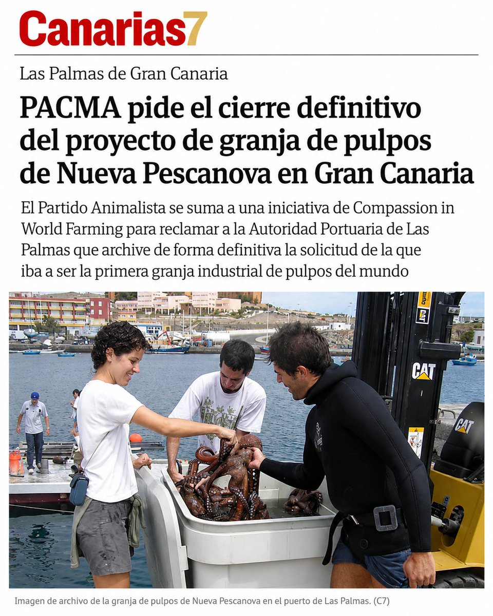PartidoPACMA's tweet photo. ❌¡No a la granja de pulpos en Gran Canaria!

🐙Exigimos que se archive definitivamente la solicitud del proyecto de la primera granja de pulpos del mundo. No podemos permitir que este proyecto siga adelante.

💪Nos sumamos a la petición de Compassion in World Farming @CIWF_ES a la a la presidenta de la Autoridad Portuaria de Las Palmas para que cierre el expediente de concesión cuanto antes.

#SaveTheOctopuses #StopOctopusFarming #StopOctopusFarm #ÚneteALaRevoluciónVerde #ÚneteAPACMA