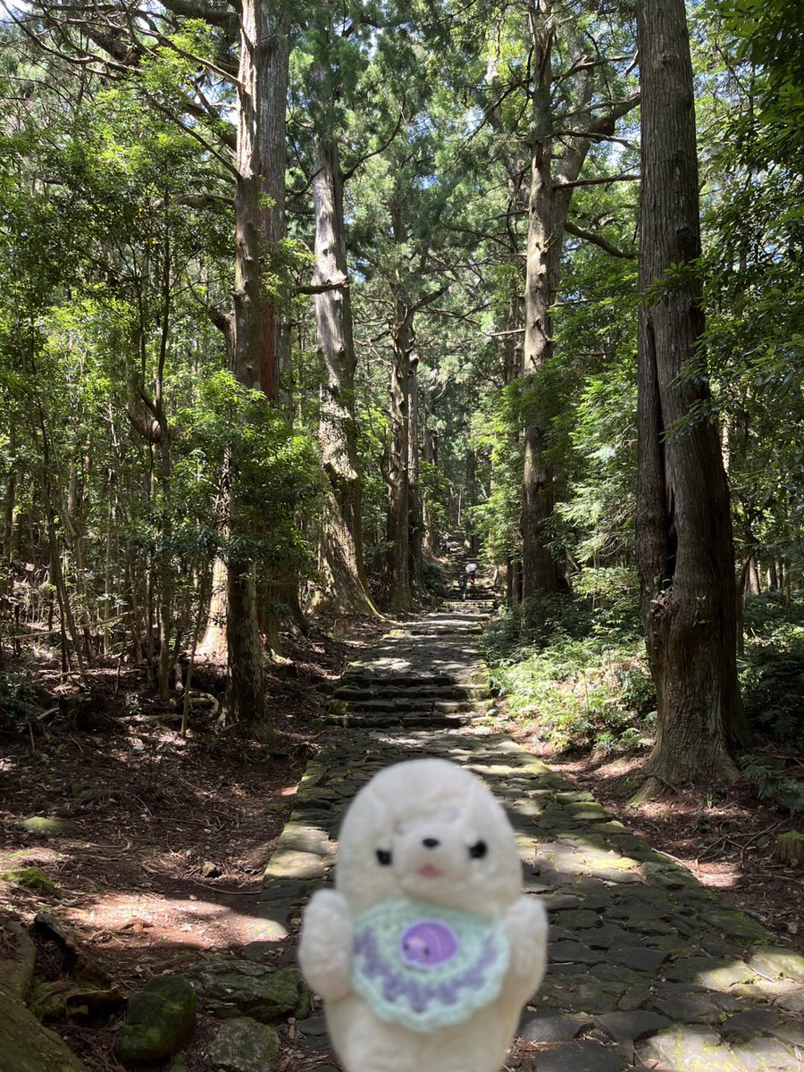 smokingAzarashi's tweet photo. 熊野古道いってきたよ〜🌲⛩️ https://t.co/jfxuWI9C0J