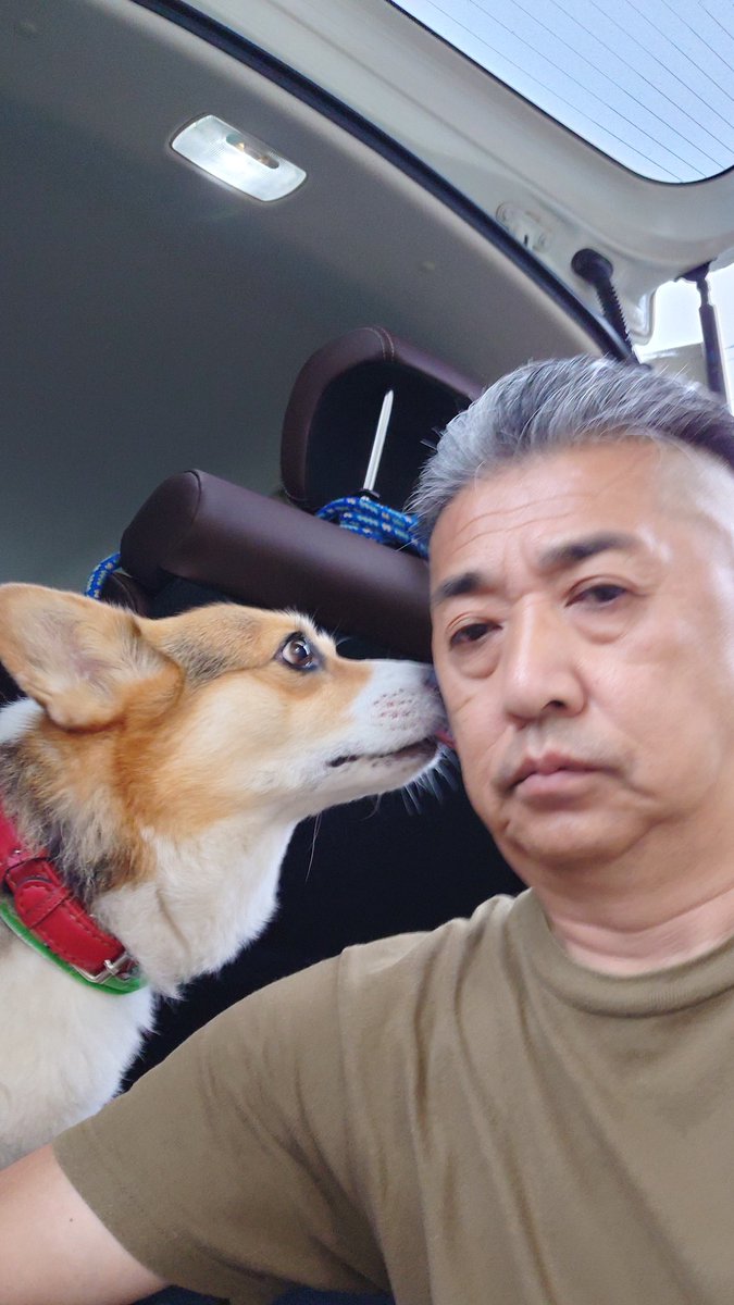 JohnnyTheCorgi🇯🇵 (@CorgiJohnny) / Posts / X