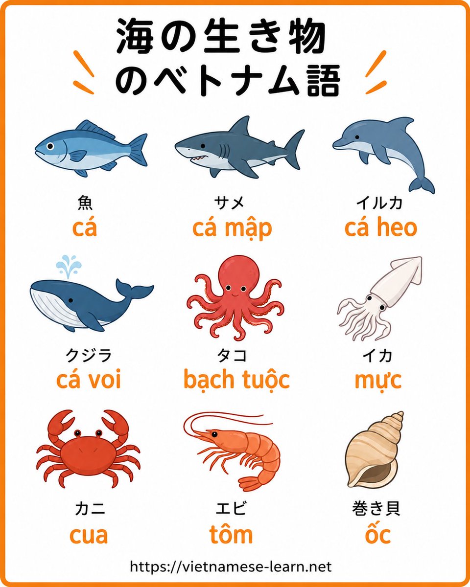 Viet_Learn_Info's tweet photo. 🌏海の生き物のベトナム語🌎

🐟 魚 → cá
🦈 サメ → cá mập
🐬 イルカ → c�� heo

🐋 クジラ → cá voi
🐙 タコ → bạch tuộc
🦑 イカ → mực

🦀 カニ → cua
🦐 エビ → tôm
🐚 巻き貝 → ốc https://t.co/Ph4E51veRu