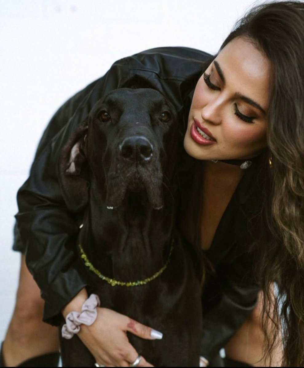 silesto486's tweet photo. Every great day starts with a happy dog. 🐕
 #dogmother #usa2026 
https://t.co/TvnHhpE2W8 https://t.co/o1bvmqQIj7