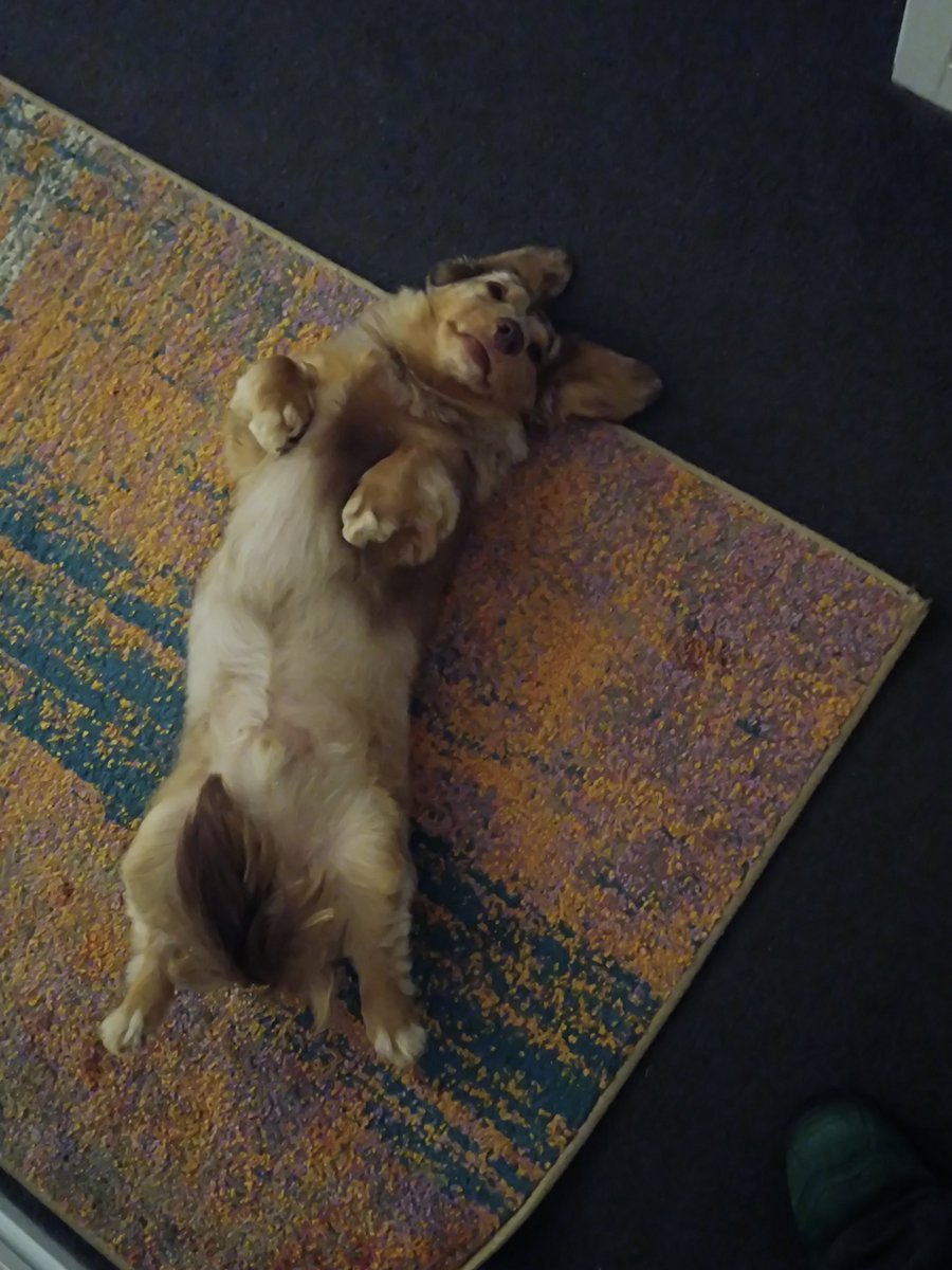PlebJust's tweet photo. Ace, ace, baby:) https://t.co/zZHmJpZaD3