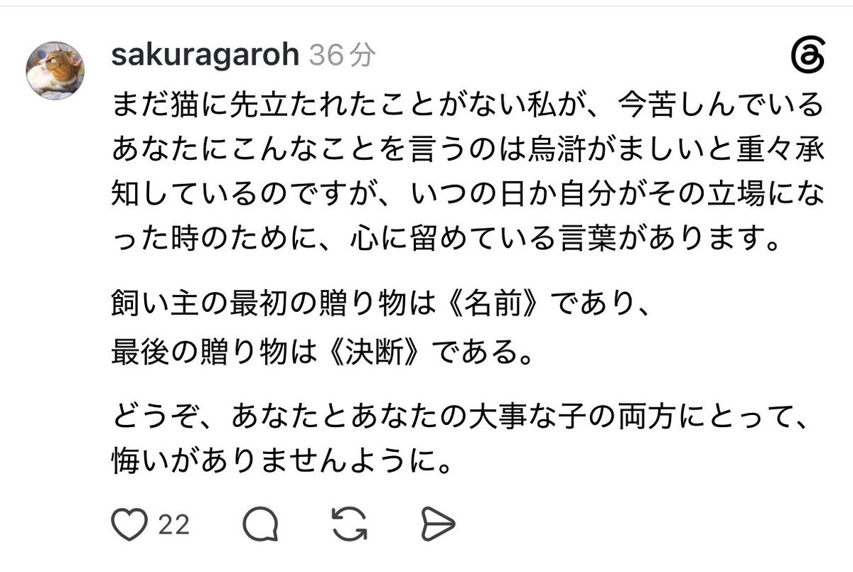 hanataro_5's tweet photo. 愛猫の安楽死を踏み切れない飼い主さんへのリプ。心に刻みたい。 https://t.co/v2mYkLksDk