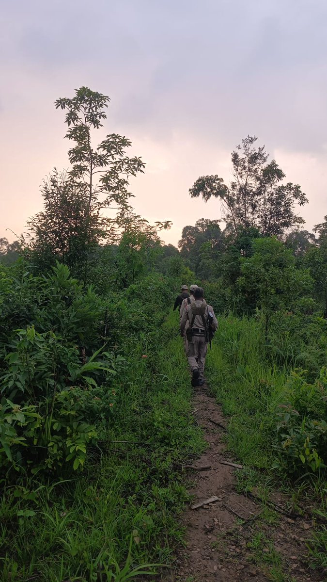 hamren_police's tweet photo. Uninterrupted Area Domination in West Karbi Anglong! 🚔
Simultaneous Long Range Patrolling (LRP) was successfully executed today across key BOPs to ensure border security:
📍 Sabuda: 4.5 km
📍 Umru-2: 5 km
📍 Khatkhasla: 4 km
📍 Arting: 4 km
@assampolice 
@DGPAssamPolice https://t.co/lyic4h7ab6