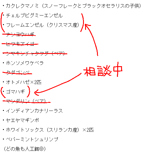 himandam's tweet photo. @AnswerBet せっかくお声かけていただいたのにすみません、マンダリンペアは既に引き取り先が決まってしまっております🙇💦
線が引かれているものは売約済で、（）は相談中になります。
タイミングが合わず、申し訳ございません。 https://t.co/qmFpoaCmjx
