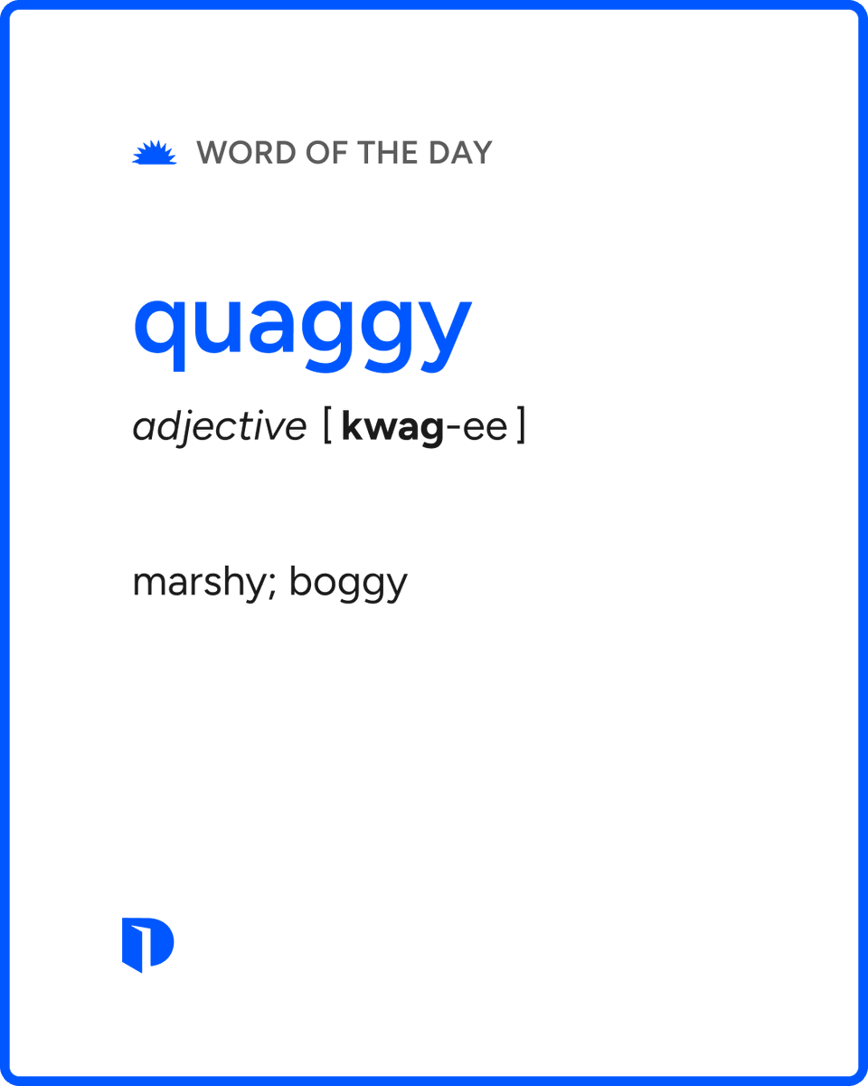 Dictionary.com tweet media