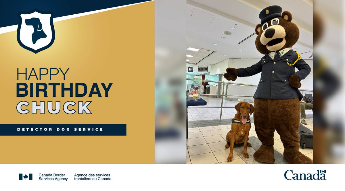 CanBorderGTA's tweet photo. Happy 3rd birthday to #DetectorDog Chuck! Outside of work, he loves to spend time with his other animal friends โ including the #CBSA's own Buddy the Bear!
Learn more about our #K9 program: https://t.co/f018OHYHvH #DogsWithJobs https://t.co/Zn7x1wZaJi