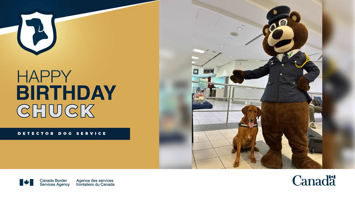 Detector Dog Chuck sitting next to CBSA mascot, Buddy the Bear.