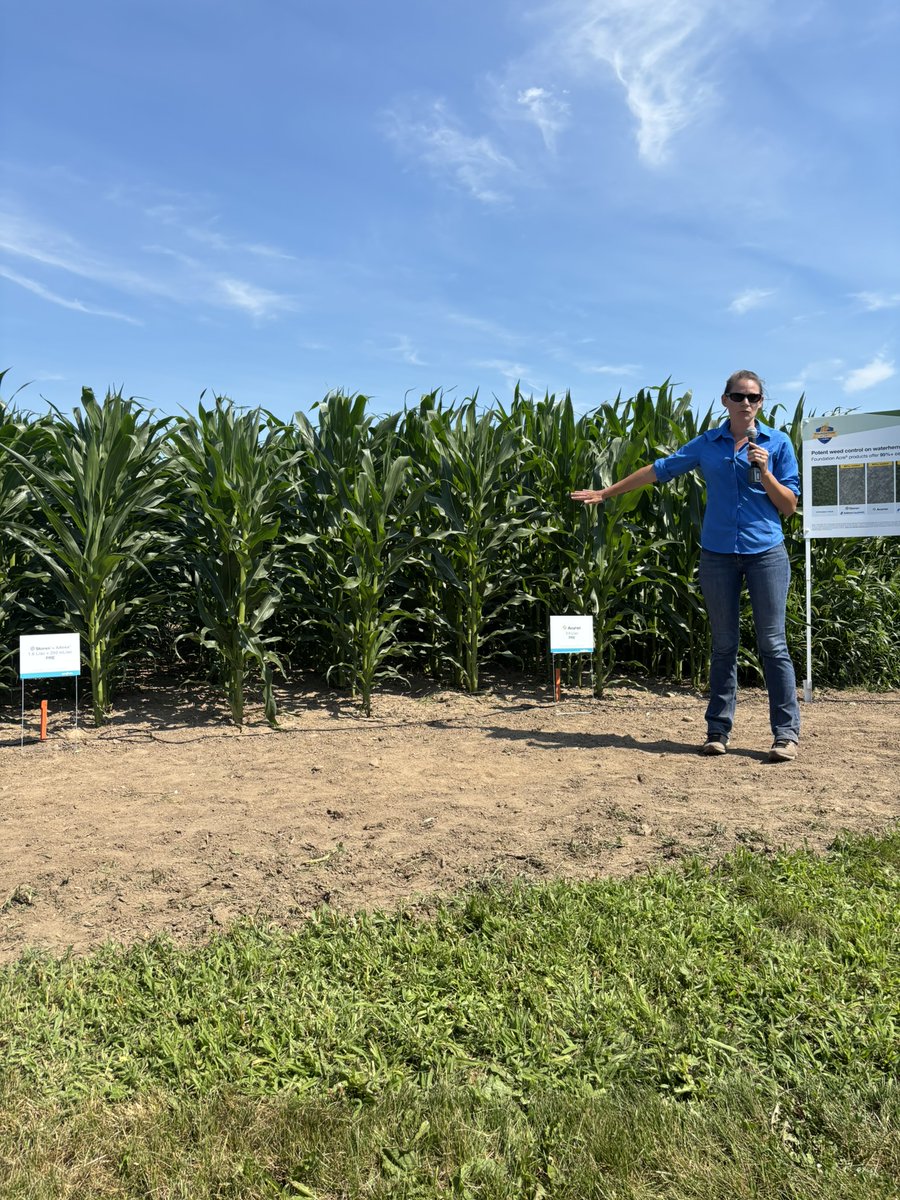 syngentacanada's tweet photo. #FieldTourFriday

📍Crop Masters at the Honeywood Research Facility in Plattsville, ON continued.

Shout out if you joined us on the tour and share or tag us in your photos 📸 https://t.co/sQhLgXfZ8w
