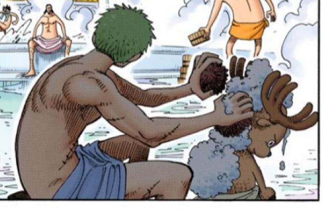 sproteberry's tweet photo. one of the many reasons I love zoro is because while everyone was peeping on the women's baths he stayed behind brushing his son's fur https://t.co/G5zV4X7otu