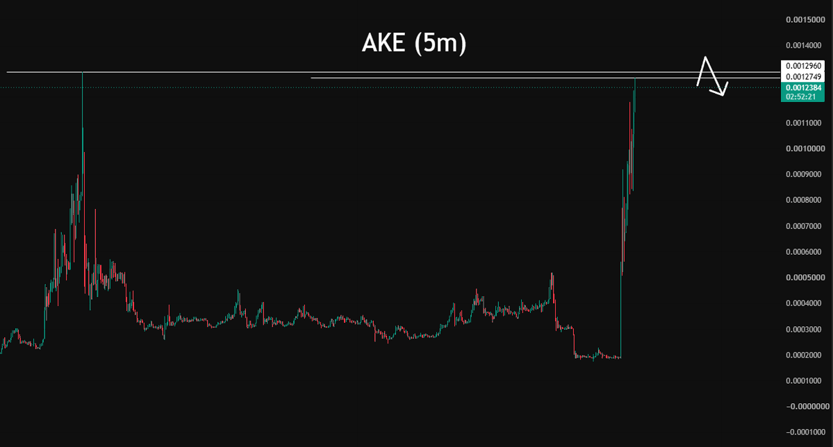 krasnovtrader's tweet photo. $AKE / $USDT

There is a good liquidity level on the coin, but we need to wait for proper consolidation https://t.co/zv75CFYNn0