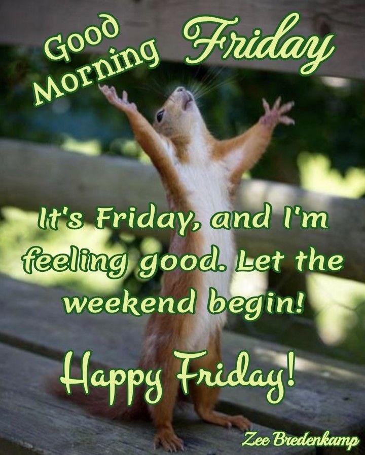 outcasthermit's tweet photo. good morning https://t.co/Zvib3TLQDJ