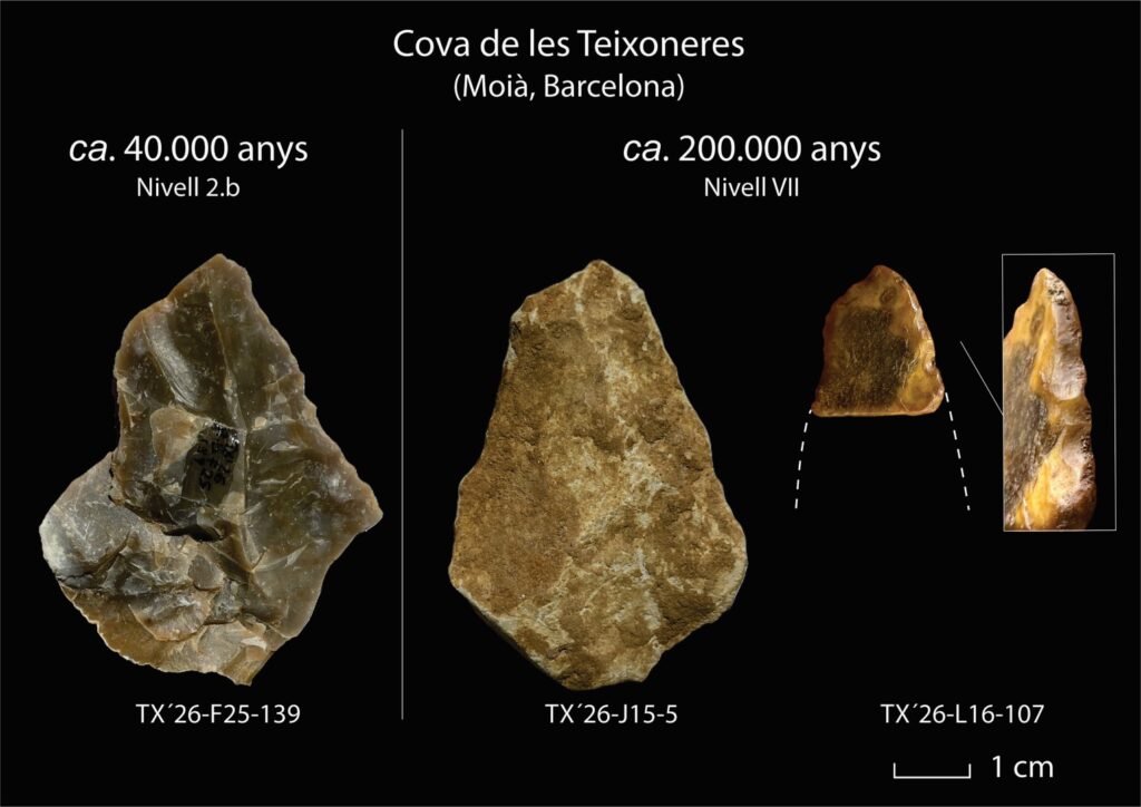 universitatURV's tweet photo. 🦴Troben dos rinoceronts sencers de fa 200.000 anys a la Cova de les Teixoneres de Moià durant la campanya d’excavació de la #URV i l’@iphes. Són els únics exemplars documentats a la península i presenten un extraordinari grau de conservació.

👉https://t.co/BMMCfptqtm https://t.co/OicIMwGoCl