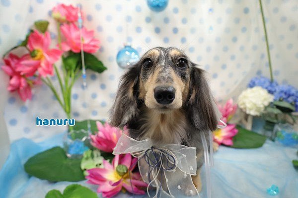 i4_7io's tweet photo. 🫧🧼🩵 https://t.co/b112K8IuU7
