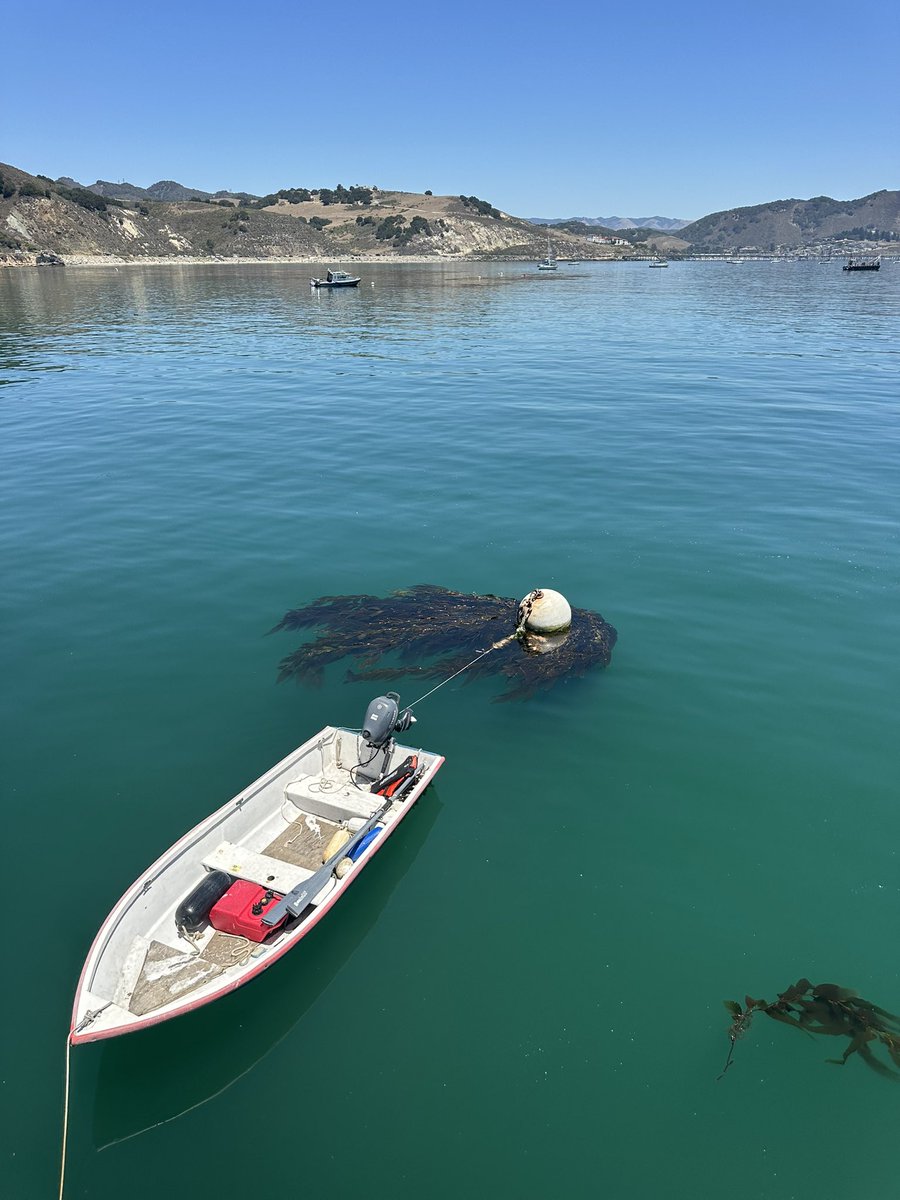 TraceyRay1982's tweet photo. Good Morning 
Avila Beach and Pier, Ca https://t.co/7an2Axgwf4