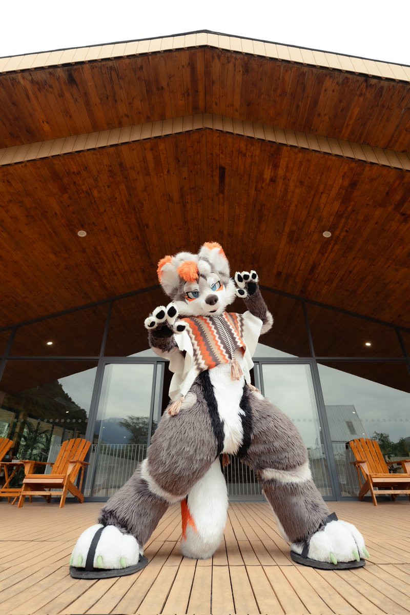 ExtonWolf's tweet photo. 哎呀，耍酷的代价就是尾巴脏了
#FursuitFriday #FursuitsFriday https://t.co/N4uNKiyswf