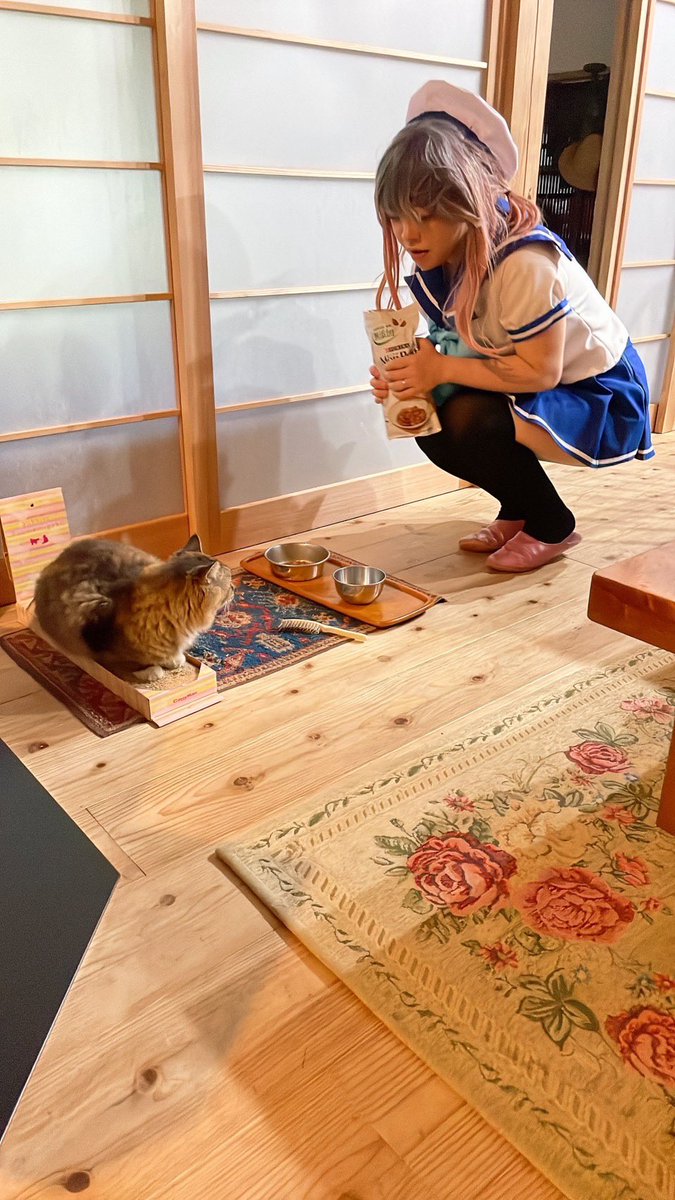 shiosan0420's tweet photo. 私こそが「択捉型海防艦はいいぞおじさん」です https://t.co/0AuGBWft3B
