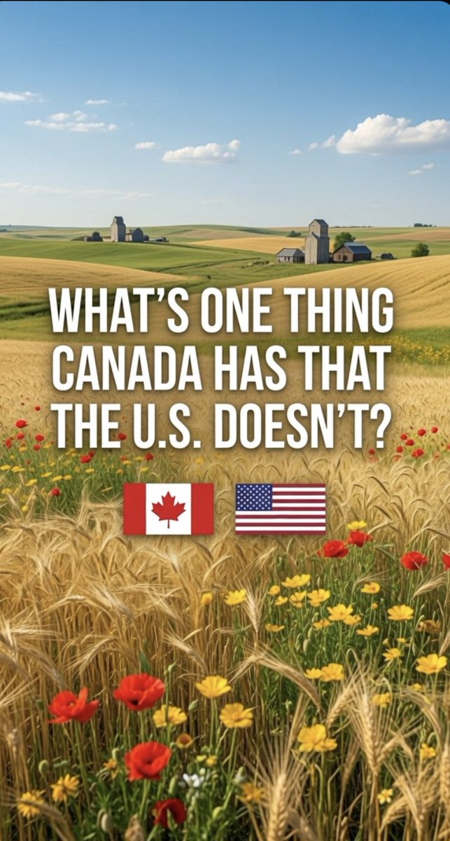The Rubber Chicken🇨🇦 tweet media