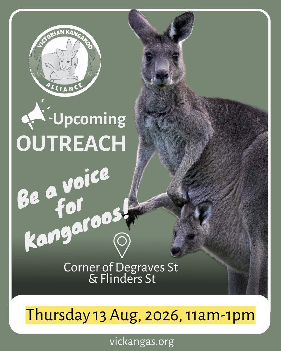 VicKangaroos tweet picture