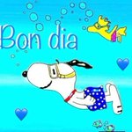 Photo by #Som i Serem..//*//♥️💛♥️💛♥️ (@Elsa5453)