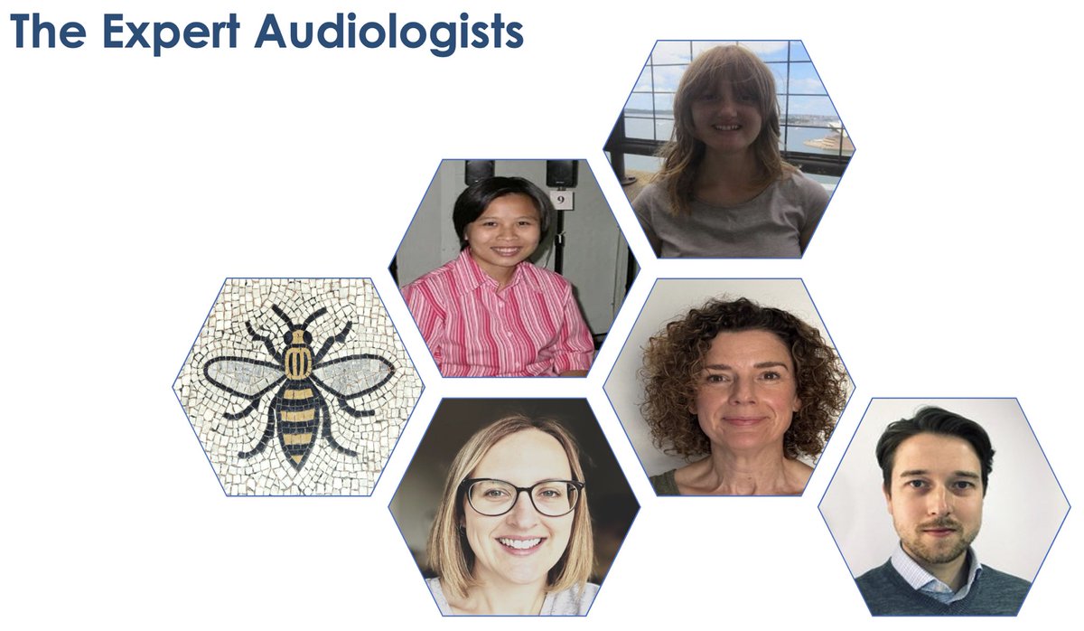 Phye_Lk's tweet photo. Glad to say that I passed a long and challenging viva last week 😮‍💨 which would not have been possible without a fantastic research team, and without the help of expert audiologists that were ‘all hands on deck’ when I needed them the most. 
@OfficialUoM @FBMH_UoM @FBMH_DocAcad 
This achievement is as much theirs as it is mine 👇🏻