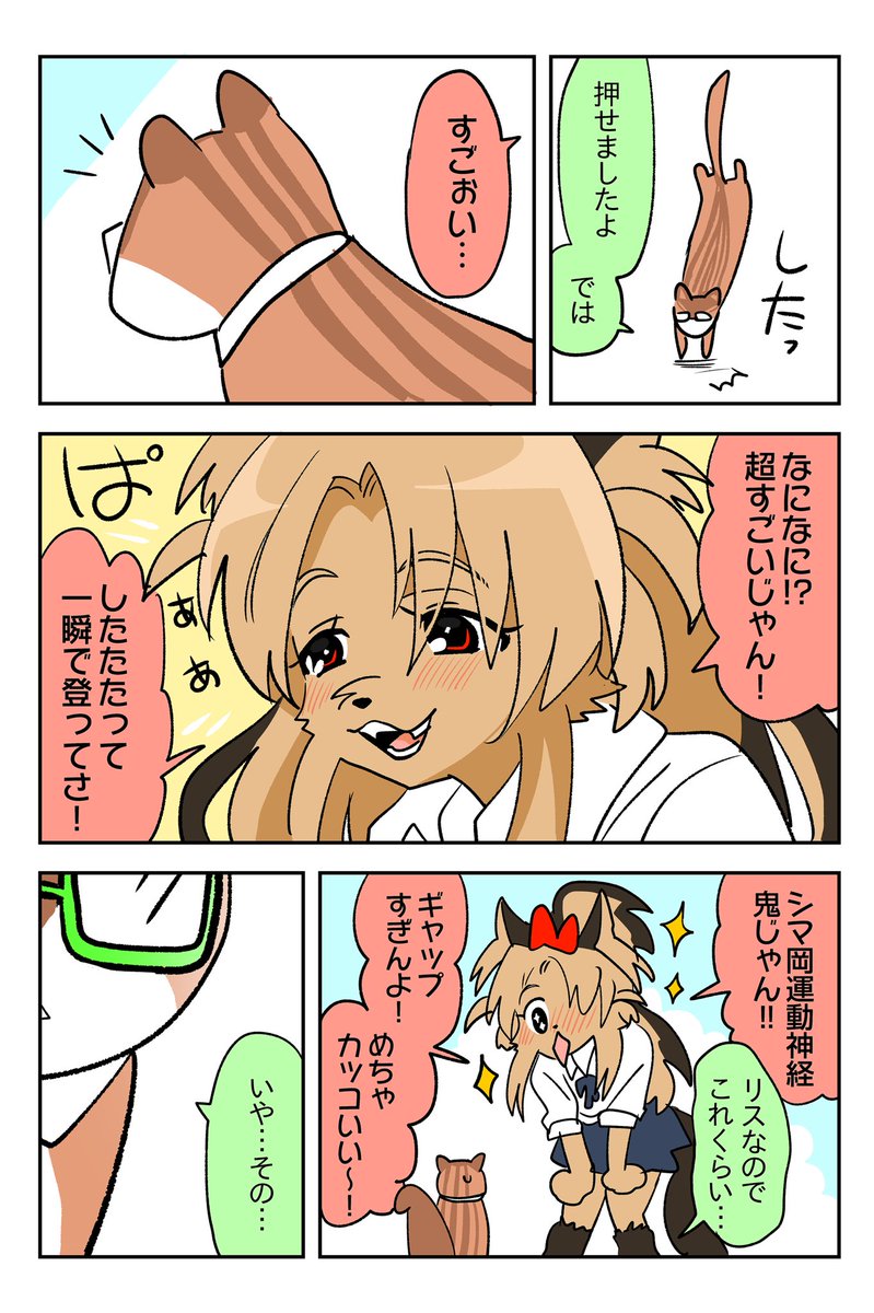 h_uk_ut_u777's tweet photo. (2/2) 
ヨークシャーテリアの他にテリアってつく犬たくさんいるみたいですが、ギャルっぽくて可愛かったので。最初はヨー子ちゃんでした。 https://t.co/XqwwGJZUDm
