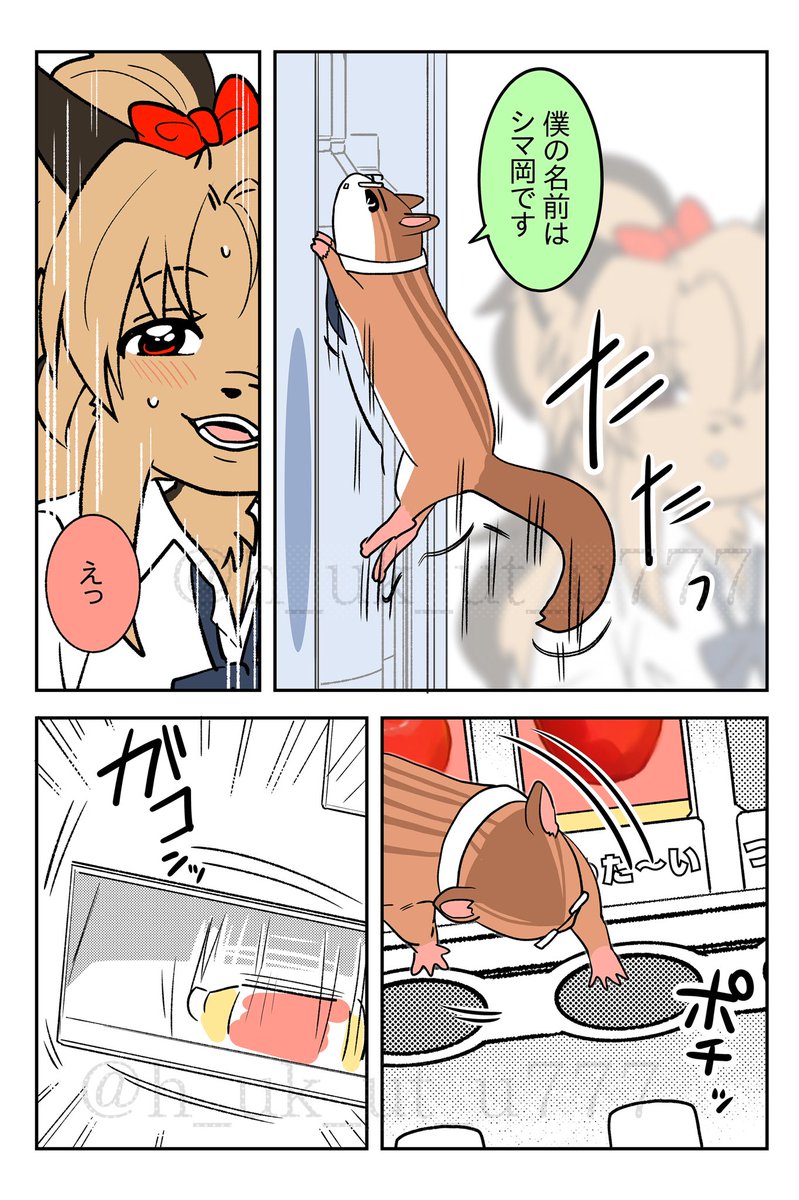 h_uk_ut_u777's tweet photo. (2/2) 
ヨークシャーテリアの他にテリアってつく犬たくさんいるみたいですが、ギャルっぽくて可愛かったので。最初はヨー子ちゃんでした。 https://t.co/XqwwGJZUDm