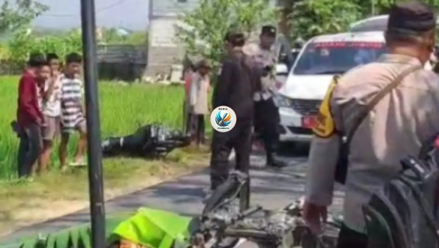 Media PENA BERSAYAP tweet media