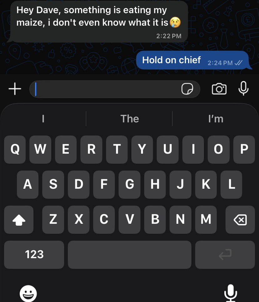David Uchenna tweet media