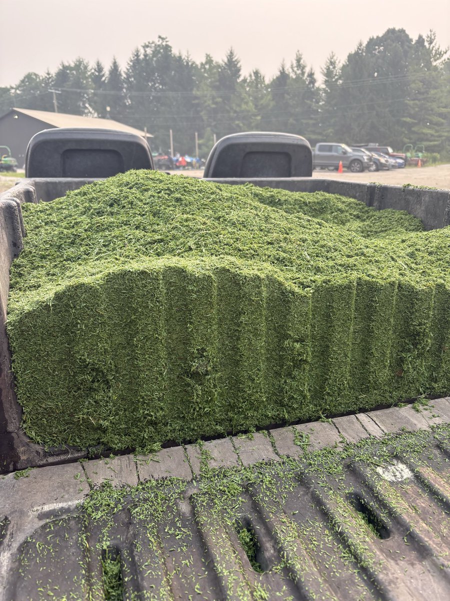 RandyWest1738's tweet photo. “yo randy walk mow every collar shouldn’t take long” yeah fuck you skip https://t.co/wcg01EkKus