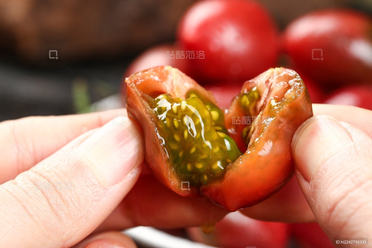 KqT6G4LxUTWbKhJ's tweet photo. Just tried the new organic cherry tomatoes! Plump, juicy, and packed with natural sweetness—way better than regular ones. Will definitely restock these! https://t.co/hSynrHLmtx
