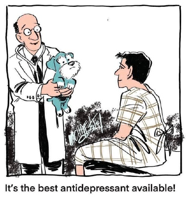 OldTechGuru's tweet photo. 😇🥹😇 https://t.co/TxCw74sCeG