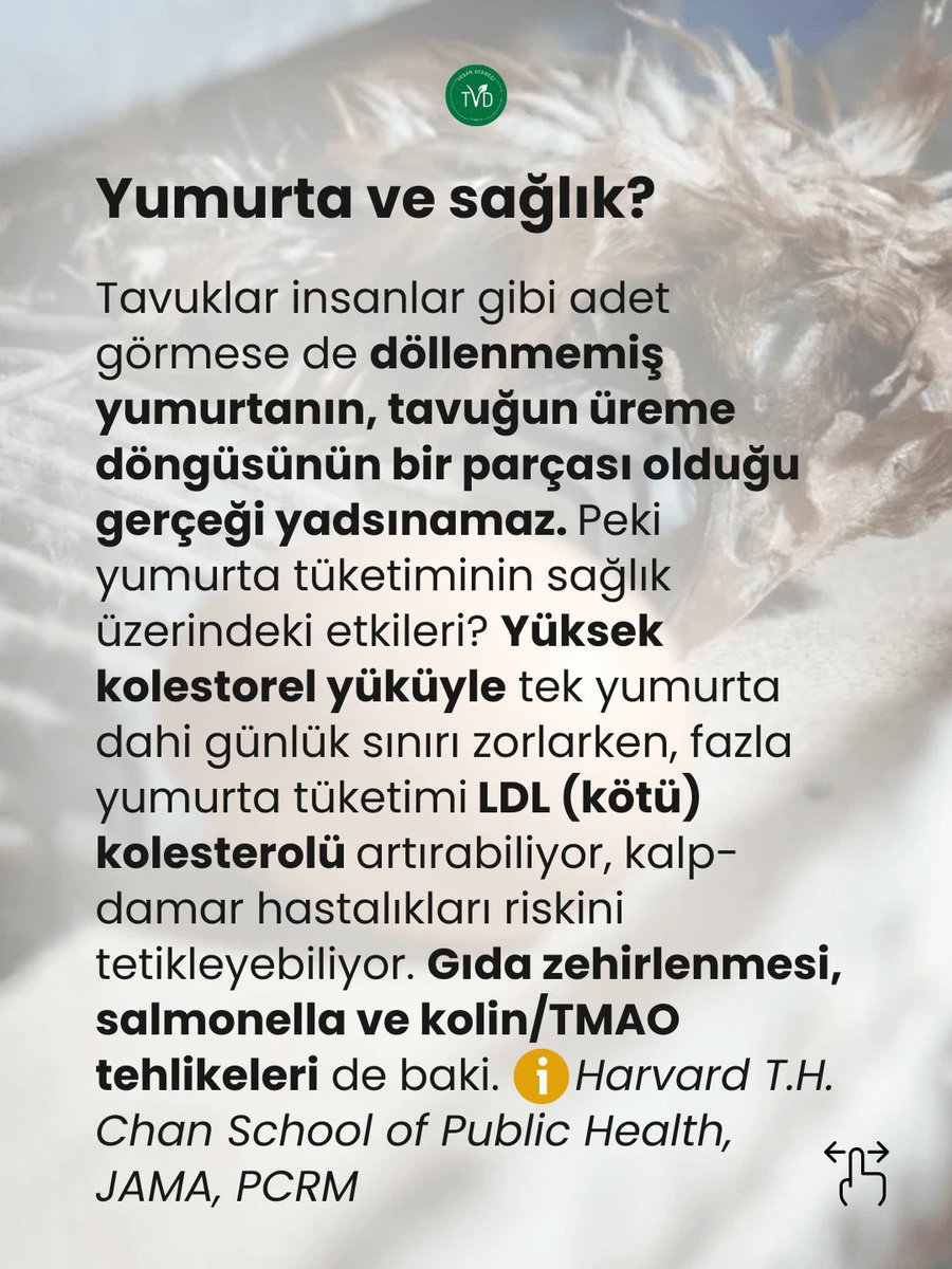 Tan Taşçı tweet media