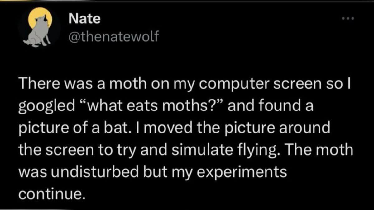 motheinsect's tweet photo. uhm https://t.co/nPHmCEXega